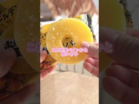 パイナップルすぎるパインアイスが凄すぎた #アイス #咀嚼音 #asmr #eatingsounds #icepop #japanesefood #shorts