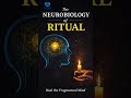 “The Neurobiology of Ritual Healing the Fragmented Mind”