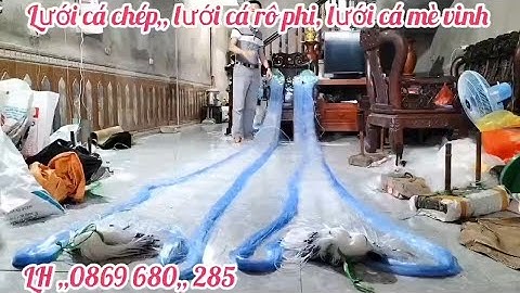 lưới đánh cá chép - lưới đánh cá phi - lưới đánh cá mè vinh  - lưới đánh cá 3 màn, lưới cá 3 màng