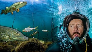 UNDERWATER Pike fishing