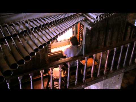 Bamboo Organ Playing Canon 