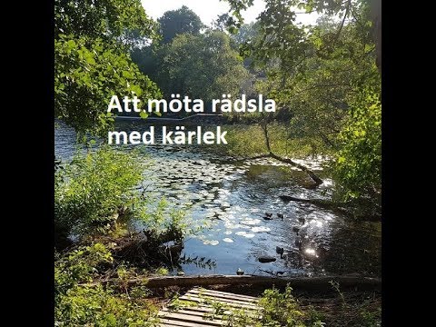 Video: Om Barns Rädsla