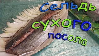 Сельдь сухого посола в домашних условиях или вкуснейшая малосольная селедка соленая сухим посолом