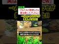 田村淳「クルド人に取材したら良い人でしたw」→Abemaのヤラセ発覚、大炎上!!