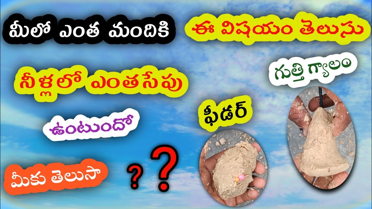 feeder gucha hooks fishing in river inside water testing