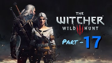 The Witcher 3 - Rescuing Dandelion and Ciri Story Walkthrough (720p HD) Playstation 4 (X3M Gaming)