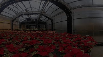 Ohio State ATI Greenhouses and Garden 360 Video