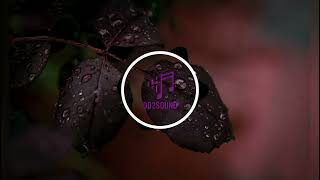 Flowers Need Rain( VIP Remix )