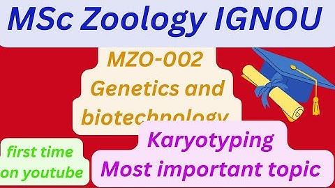 MSc Zoology IGNOU MZO-002 genetics and biotechnology Karyotyping #ignou #msczoology #genetics 