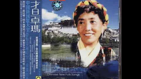 才旦卓瑪 - 北京的金山上 - 天天要聞