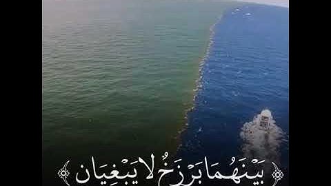 تلاوة خاشعه للشيخ ياسر الدوسري❤️.