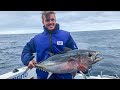 Bluefin Tuna in Rough Weather Part 2