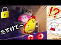 助けて！最強クレーンゲームに閉じ込められた！隠された謎を解いてサンサンを救え！親子向け知育教育★サンサンキッズTV★