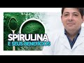 SPIRULINA para que serve [ajuda a emagrecer] | Dr Juliano Teles