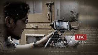 BAKUL TERNAK | KINEMASTER