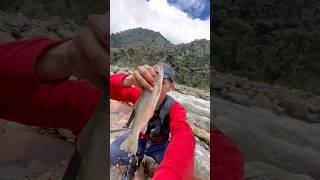 Pesca con MANO 🤚 🎣 #pesca #fishing #campo #blog