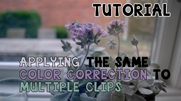 Final Cut Pro X - How to Apply the Same Effect on All Clips (COPY AND PASTE EFFECTS)
