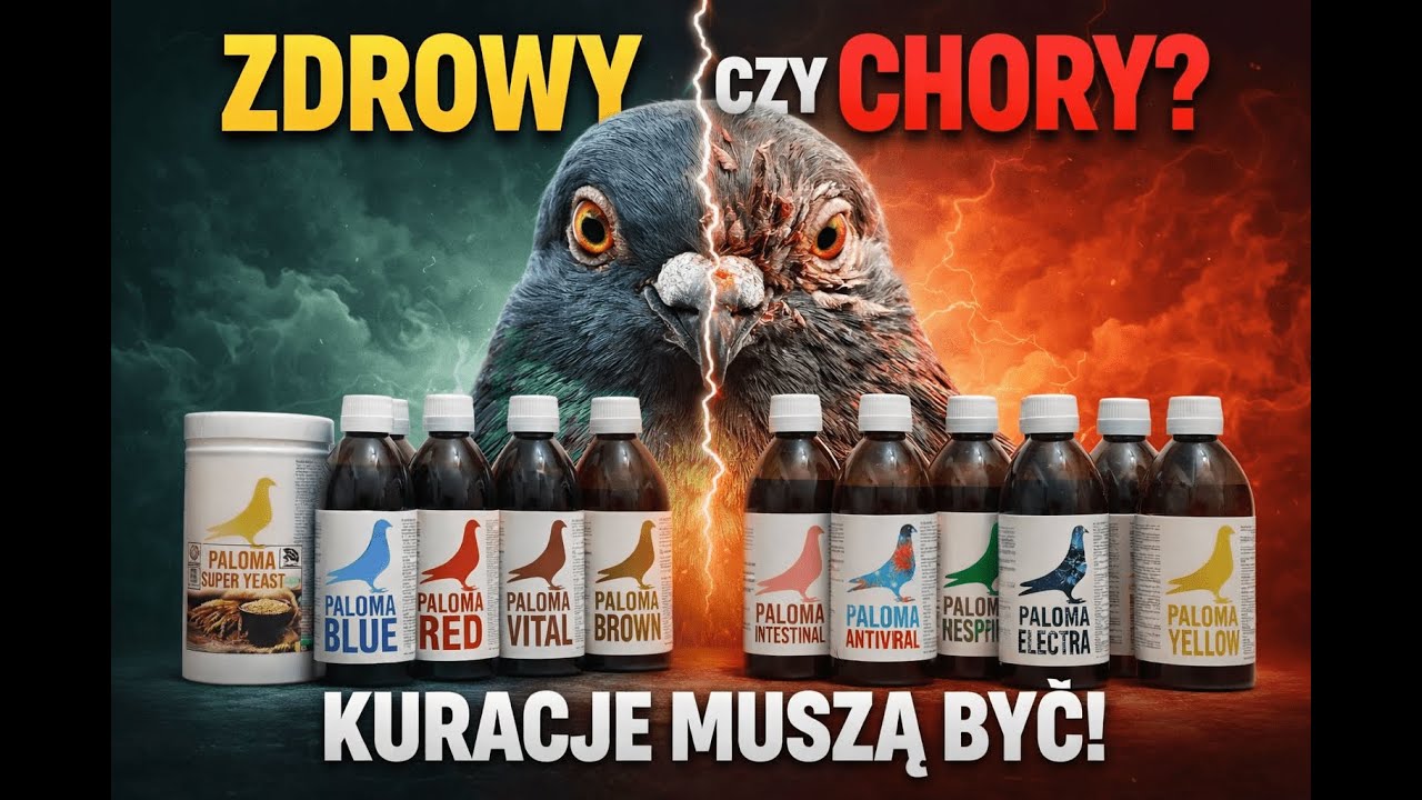 Zdrowy czy chory - kuracje muszą być!!!
