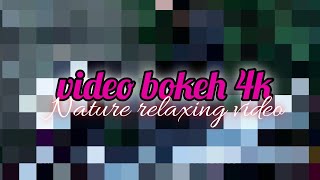 Video bokeh beautiful nature relaxing morning enjoy part two