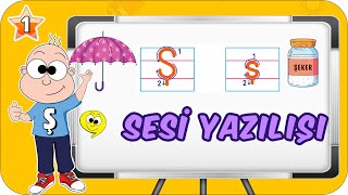 Ş Sesi Öğretimi Okunuşu Ve Yazılışı 1.Sınıf