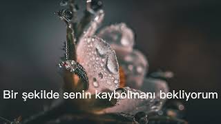 Aqualash - They Say Surrender - İstek Çeviri