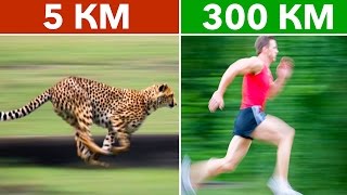 Видео 6 СУПЕР СПОСОБНОСТЕЙ, КОТОРЫЕ ЕСТЬ У КАЖДОГО ЧЕЛОВЕКА (автор: MOGOL TV)