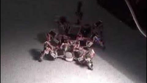 Phototaxis: Autonomous walking under neural control