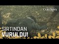 Demir Yaman'ın öldürülme anı! - Bir Zamanlar Çukurova 113. Bölüm