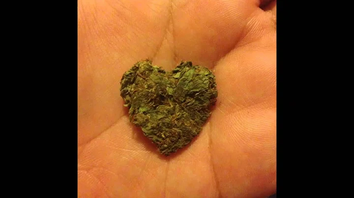 mike jones - screw dat (screwed by El Pinche Rica)