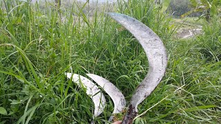 Lawung 1 Year of Use | Sickle Yasin, Thickness of Grass Test