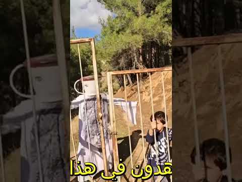 خلودة وسوسو مخطوفين من تم تم ساهور الشرير خلودة 