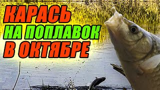 Ловля КАРАСЯ на ПОПЛАВОК в ОКТЯБРЕ! Карась КЛЮЁТ на СЕКРЕТНОЕ СЫРНОЕ ТЕСТО и БОЛТУШКУ с ВИТАМИНАМИ!