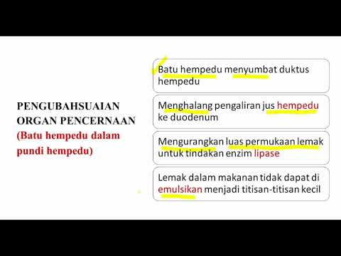 Video: Kesan Pengambilan Susu Lembu Pada Prestasi Senaman Dan Pemulihan Fungsi Otot: Kajian Sistematik