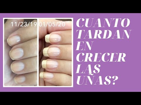 Vídeo: ¿Qué Tan Rápido Crecen Las Uñas? Califique Por Día, Mes, Año, Propinas Y Más