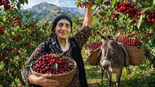 94-Year-Old Grandma’s Cherry Harvest – Her Daughters Turn Fresh Cherries into Amazing Jam & Compote! 94-Year-Old Grandma’s Cherry Harvest – Her Daughters Turn Fresh Cherries into Amazing Jam & Compote!