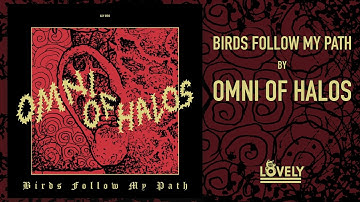 OMNI OF HALOS - BIRDS FOLLOW MY PATH (Official Video)