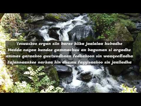 AYYANTUU SOLOMOON FI ASTEER TASFAA JAALALA KEE Lyrics