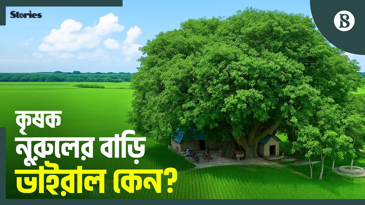 নরসিংদীর কৃষক নুরুলের বাড়িটি যেন শান্তির প্রতীক | Viral Village House | The Business Standard