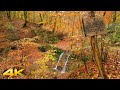 Sirzenicher Wasserfall Autumn , A Scenic Relaxation Walk Tour With Ambient Sounds For Stress Relief