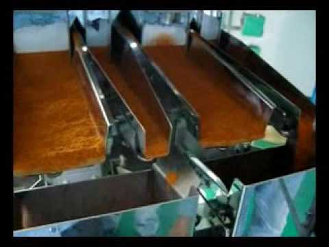2 Head  Linear Weigher for Powder