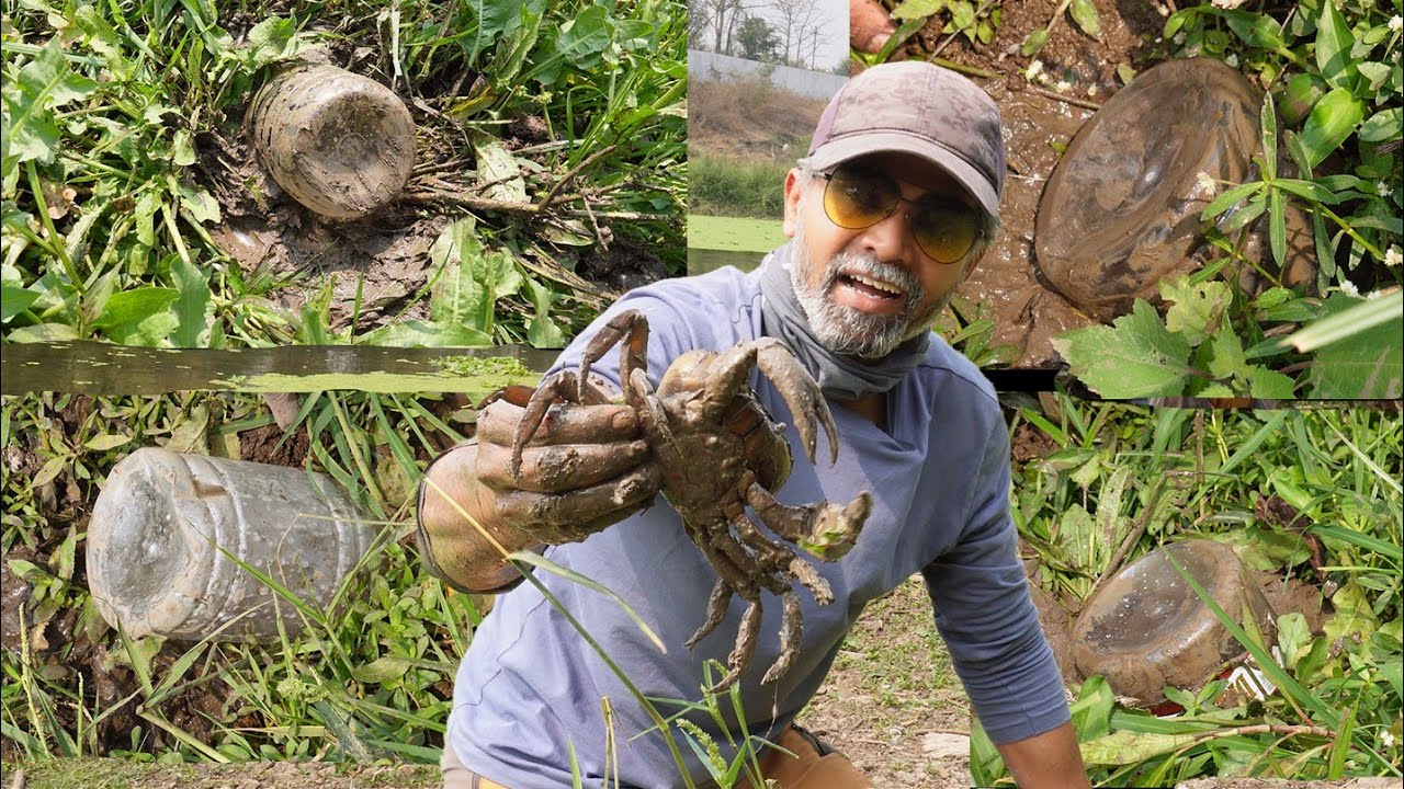 इतकी सोप्पी खेकडे पकडण्याची टेक्निक पण तरी अजून कशी कोणाला माहित नाही ?खेकड्याचं कालवण,चिलापी फ्राय😋