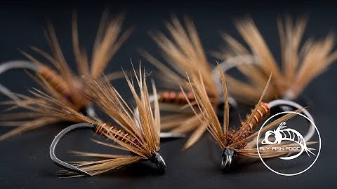 Stronger, Sleeker, and Swing-Ready – The Red Rib Soft Hackle