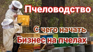 С чего начать. Пчеловодство как бизнес.