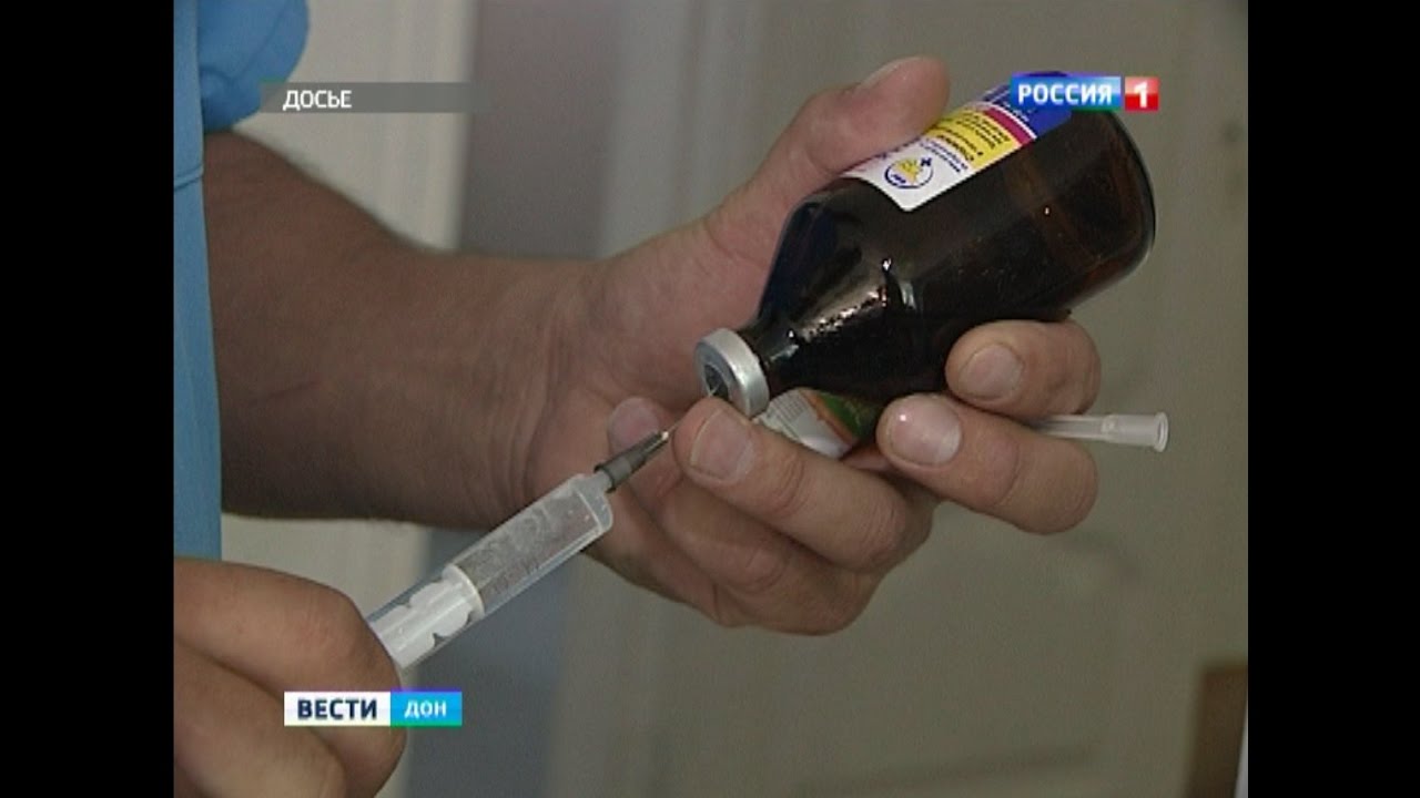 В Шахтах домашняя кошка заболела бешенством - YouTube