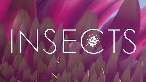 INSECTS: Xbox Series X (Preview)