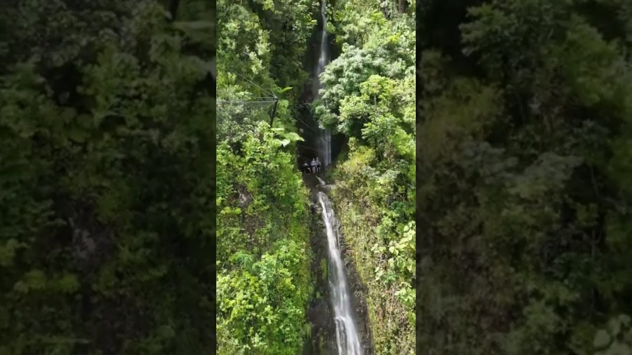 Manoa Falls: Oahu, Hawaii 