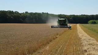 Deutz Fahr 6060 HTS - žetva ječma na OPG Tihomir Koscevic