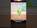 LIKE I CANT BE THE ONLY ONE USING THESE ITEMS IN EVERY TOCABOCA HOUSE 🏠 credit: emmie.tocasss