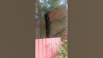 Tập 405: Cơ hội đầu tư – Đất mặt tiền Quốc lộ 1A, trung tâm Tam Điệp, chỉ 1,3 tỷ sở hữu ngay 73,8m²!