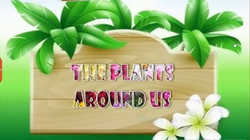 The Plants Around Us, Class 4 Environmental Science | Digital Teacher